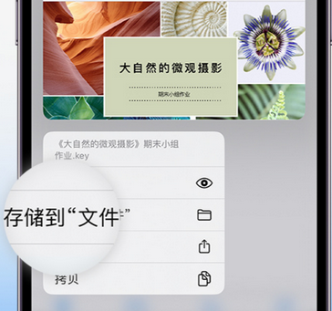 未央apple维修中心分享iPhone文件应用中存储和找到下载文件