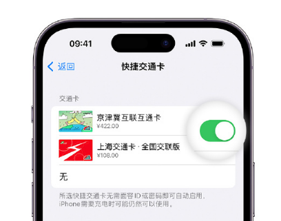 未央apple维修点分享iPhone上更换Apple Pay快捷交通卡手绘卡面 