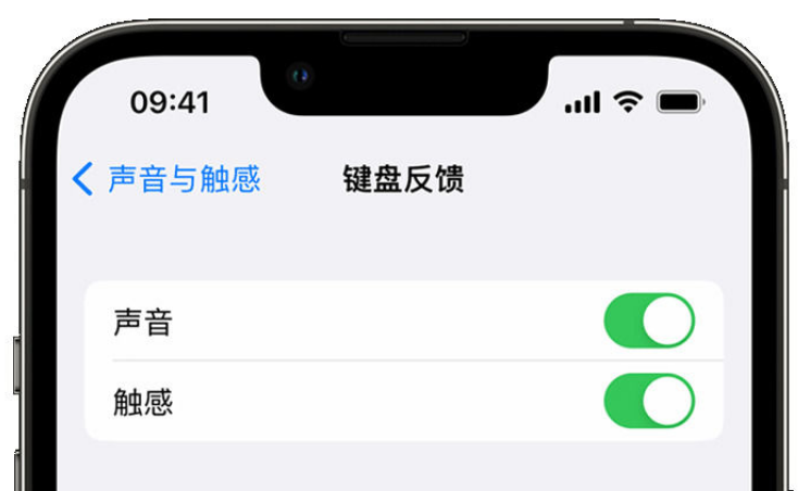 未央苹果手机维修分享iPhone 14触感键盘使用方法 