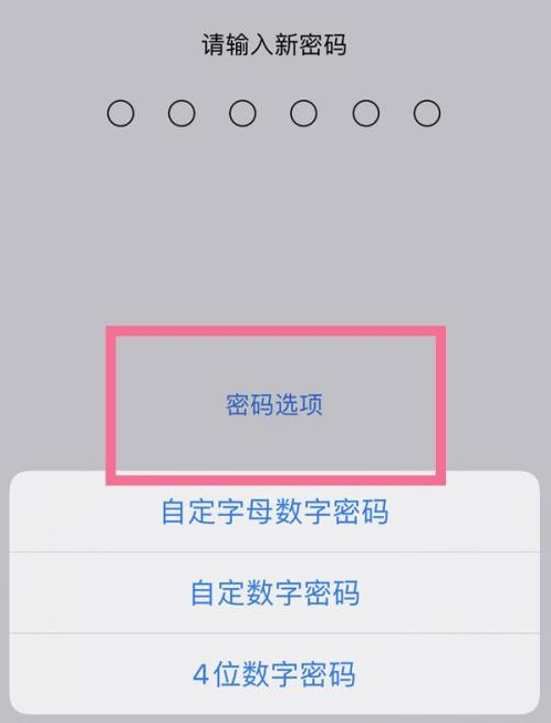 未央苹果14维修分享iPhone 14plus设置密码的方法 