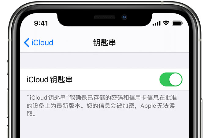 未央苹果手机维修分享在 iPhone 上开启 iCloud 钥匙串之后会储存哪些信息 