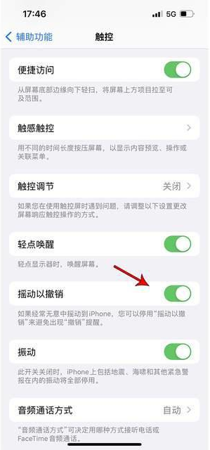 未央苹果手机维修分享iPhone手机如何设置摇一摇删除文字 